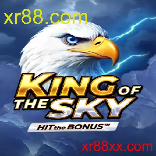 KingOfTheSky